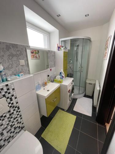 W łazience znajduje się toaleta z umywalką i prysznic. w obiekcie Plně vybavený krásný apartmán 1kk s balkonem, výhledem w Jabloncu nad Nysą