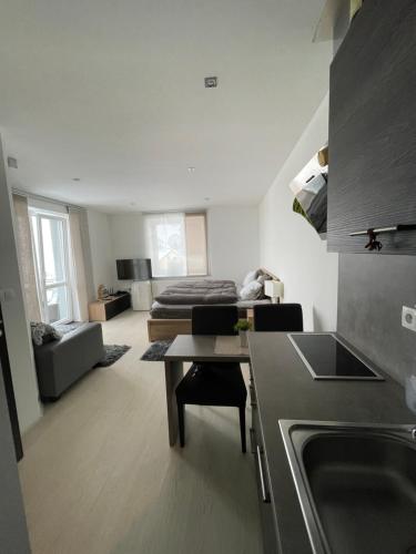 a kitchen and living room with a bed in a room at Plně vybavený krásný apartmán 1kk s balkonem, výhledem in Jablonec nad Nisou