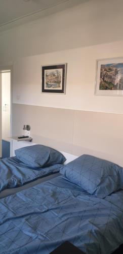 1 cama con edredón azul en un dormitorio en Louis, en Maaseik