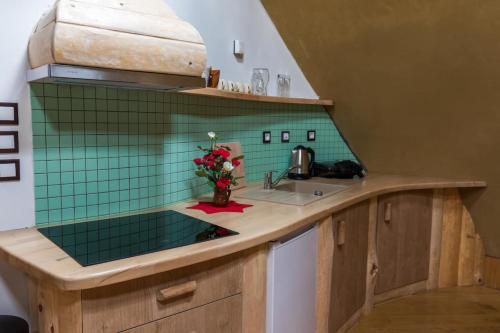 a small kitchen with green tile on the wall at Magical Hobbit's House - Happy Rentals in Ljutomer