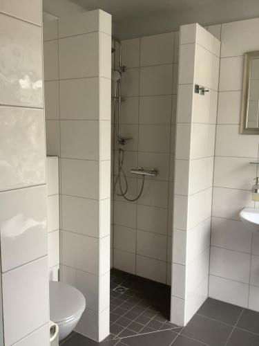 a bathroom with a shower and a toilet at Budgethotel Stadtbett Wolfsburg in Wolfsburg