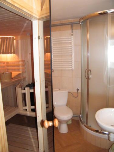 a bathroom with a toilet and a sink at U Poraja in Ząb