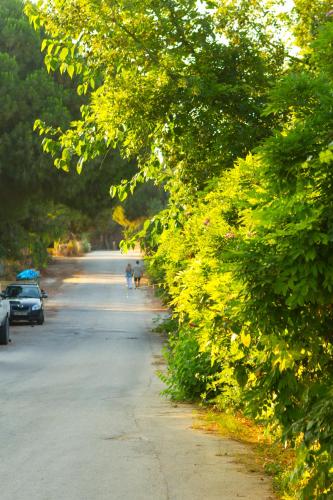 Φυσικό τοπίο κοντά σε αυτό το ξενοδοχείο διαμερισμάτων