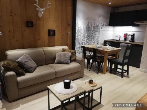 Les Deux Alpes, Le Lauvitel, appartement cosy, pied des pistes, 2 adultes 2 enfants