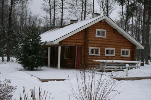 a log cabin in the woods with snow on the ground at Trepimäe Holiday House in Vehendi