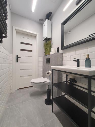 a bathroom with a toilet and a sink and a mirror at Radunia Canal Apartment in Gdańsk