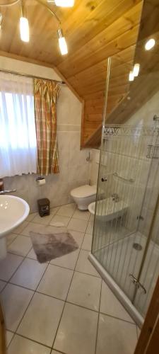 a bathroom with a shower and a sink and a toilet at Berglodge für 10 Personen mit Sauna und Yacuzzi in Sehmatal