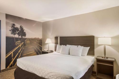 a hotel room with a bed and a painting of a bridge at Clarion Pointe Forsyth I-75 in Forsyth