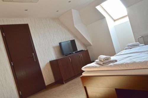a bedroom with a bed and a tv and a window at Penzion Batovka u Hoffera in Partizánske