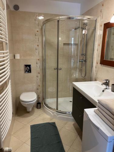 a bathroom with a shower and a toilet and a sink at Apartament Jasna in Jastrzębia Góra