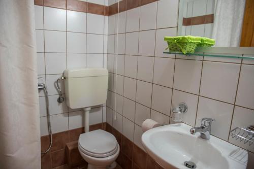 a bathroom with a toilet and a sink at Ξενώνας Πατρικό in Neraïdochóri