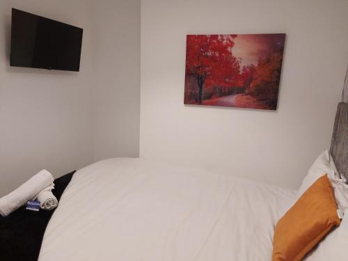 a bedroom with a bed and a painting on the wall at 4 Eyre Square Lane in Galway