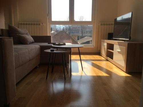 a living room with a couch and a table at Cool Apartments with FREE PARKING in Čačak