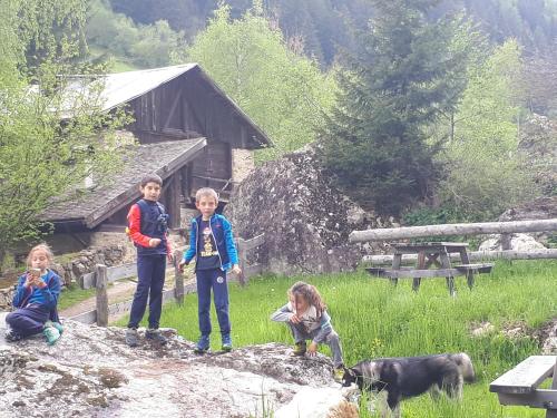 a group of children standing on a rock with a dog at Hotel Ortles Dolomiti Walking & Spa in Cogolo