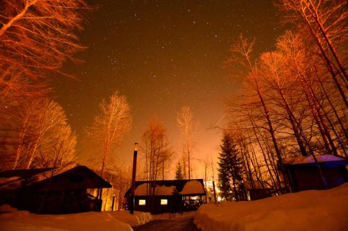 a night view of a forest with snow and trees at Robenstein Aktivhotel & SPA in Zwiesel