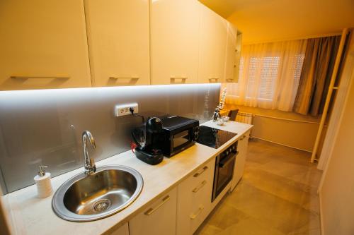 eine Küche mit einer Spüle und einer Mikrowelle in der Unterkunft Apartman Lazaro Cacak in Čačak