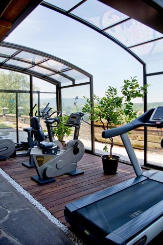 a gym with a bunch of cardio equipment on a wooden deck at Schlossberghof Marzoll in Bad Reichenhall