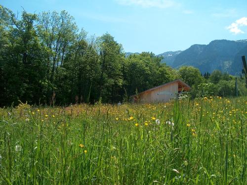 a field of tall grass with a barn in the background at Schlossberghof Marzoll in Bad Reichenhall