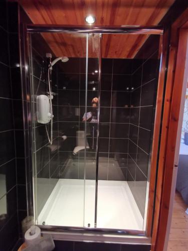 a shower with a glass door in a bathroom at St Ronan's Hotel in Innerleithen