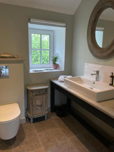 a bathroom with a sink and a toilet and a mirror at Kermaria Bois D Amour Apartment in Pont-Aven