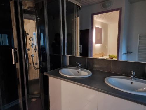 une salle de bain avec deux lavabos et une douche dans l'établissement Les Gites de la Petite Boynarde, à Boyne