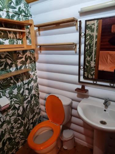 a bathroom with a toilet and a sink at Camping Fuente de Piedra in Fuente de Piedra