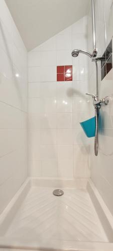 une salle de bain blanche avec une douche et un lavabo dans l'établissement 2 Charmants logements * CHARMANT GITE COLMAR *, à Colmar