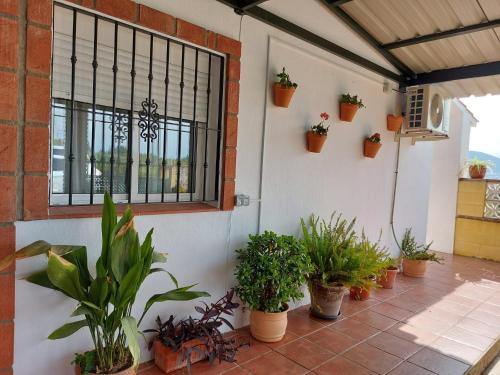 Andalusian farmhouse with barbecue, pool and wifi