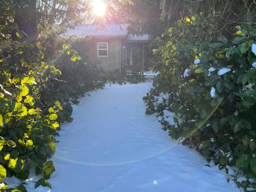 a snow covered driveway leading to a house at Lopez Farm Cottages & Tent Camping in Lopez