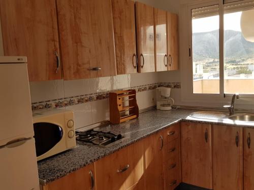 a kitchen with wooden cabinets and a sink and a microwave at Las Cuatro Lunas in Níjar