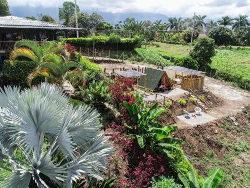 Taman di luar Villa Alejandra Del Quindio