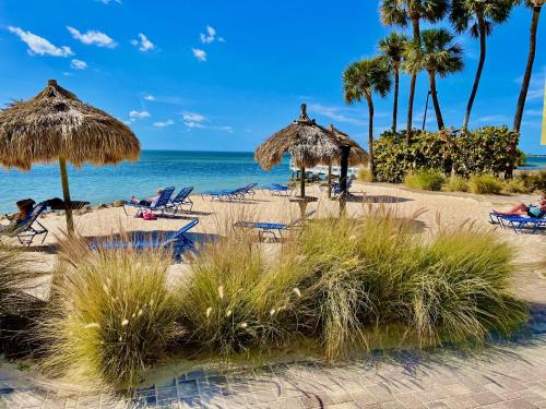 a beach with chairs and umbrellas and the ocean at 2 Bed Condo with Balcony Facing Pool and Sunsets! in Tampa
