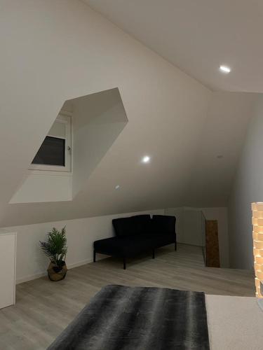 Φωτογραφία από το άλμπουμ του Ninho Citadino 2 Aveiro στο Αβέιρο