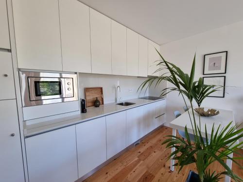 a kitchen with white cabinets and a potted plant at Casa da Leira in Amarante
