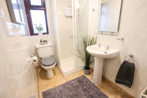 a bathroom with a toilet and a sink and a shower at Bright 3bed sleeps 9 with secret garden 5min walk to town in Sligo
