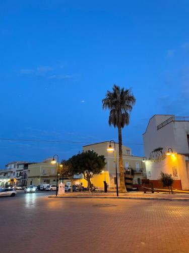 een stadsstraat 's nachts met een palmboom en gebouwen bij La casa di Giovanna in Lampedusa