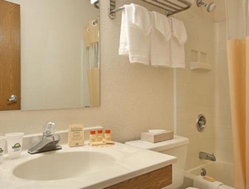 a bathroom with a sink and a toilet and a mirror at Days Inn by Wyndham Hornell NY in Hornell