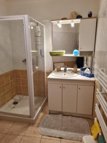 une salle de bain avec douche et lavabo dans l'établissement Le jardin de Bonporteau, à Cavalaire-sur-Mer