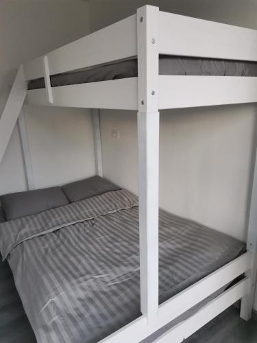 A bunk bed or bunk beds in a room at Hiška Sliva