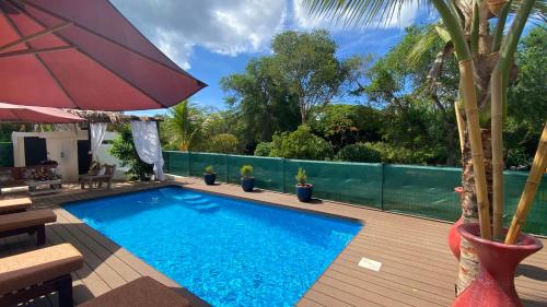 a swimming pool on a wooden deck with a palm tree at LA CASE BOIS CRÉOLE in Albion