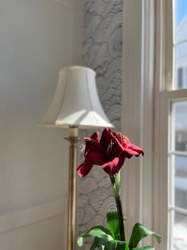 a red flower in a vase next to a lamp at Queen Anne's Revenge in Bar Harbor