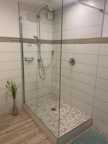 a shower with a glass enclosure in a bathroom at Ferienwohnung Feiden Eifel-Mosel Lounge in Greimersburg