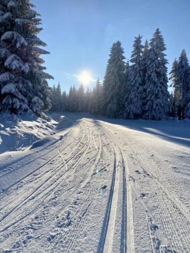 a snow covered road with trees and the sun in the background at Apartmán Rezidence Moser-free parking garage in Karlovy Vary
