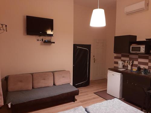 ein Wohnzimmer mit einem Sofa und einer Mikrowelle in der Unterkunft Downtown Apartments Budapest in Budapest