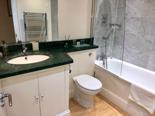 a bathroom with a sink and a toilet and a tub at Contemporary large apartment in an ideal location in Bath