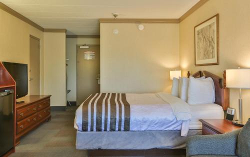 a hotel room with a bed and a television at Best Western Brantford Hotel and Conference Centre in Brantford