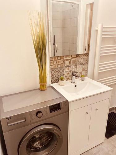 une salle de bain avec une machine à laver et un lavabo dans l'établissement « Douce Nuit Médiévale », à Hyères