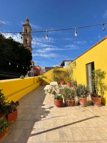 een gele muur met potplanten op een patio bij CASA DAMIANA in Lagos de Moreno