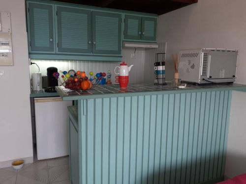 uma cozinha com armários verdes e uma bancada em BEAU STUDIO DUPLEX em Les Trois-Îlets