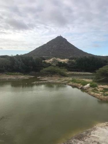 Imagen de la galería de Aruba Backpackers, en Oranjestad